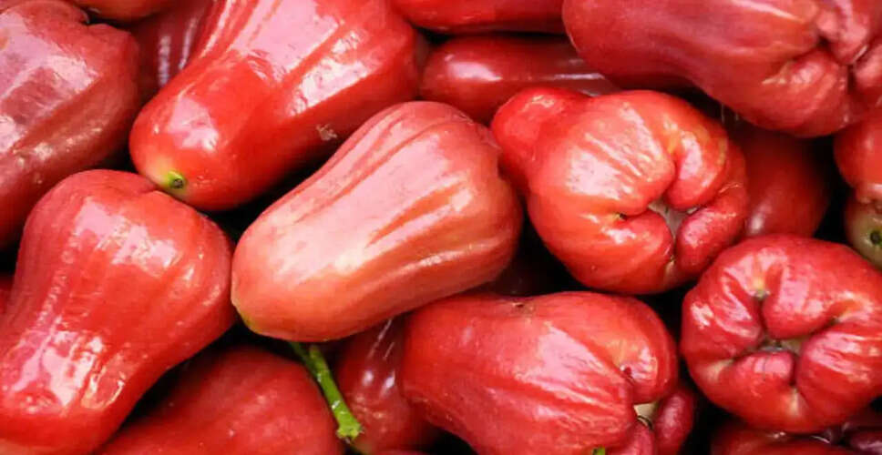 Stay Hydrated This Summer with Rose Apple: A Nutritional Powerhouse
