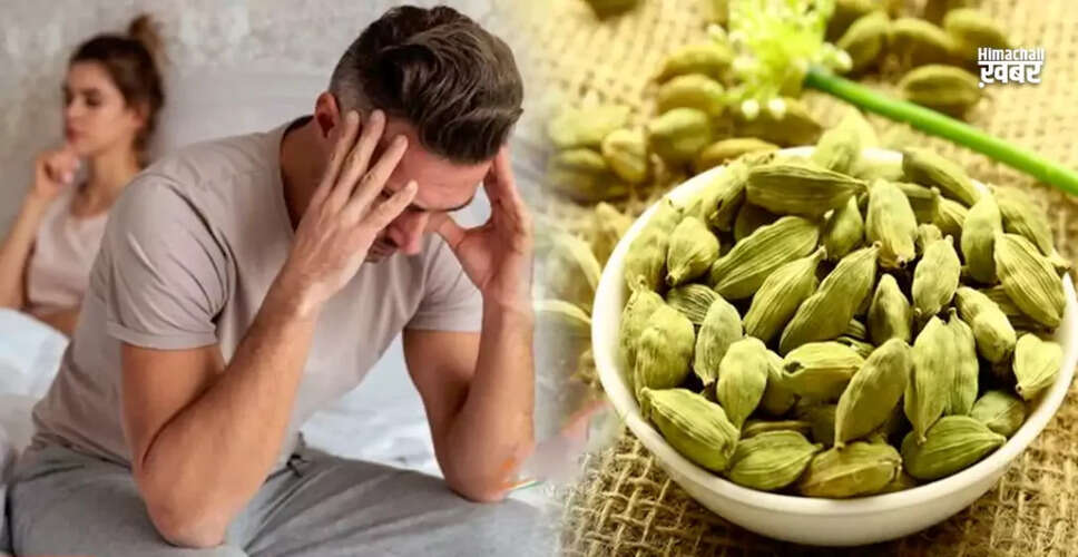 Exploring the Health Benefits of Cardamom