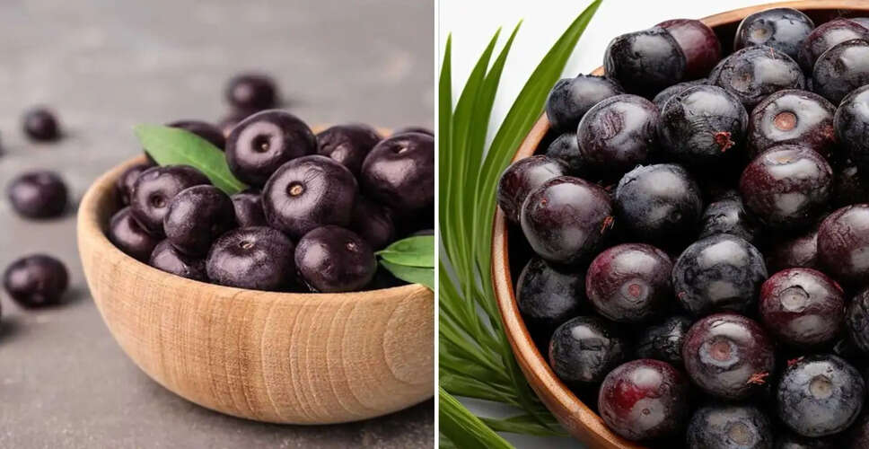 The Nutritional Power of Acai Berries: A Superfood for Health