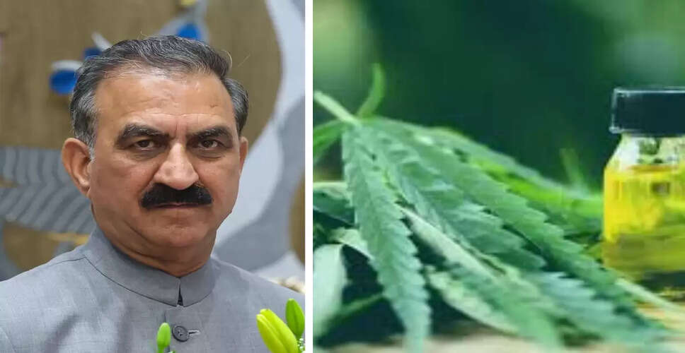 Himachal Pradesh's Bold Step Towards Economic Growth with Industrial Hemp Initiative