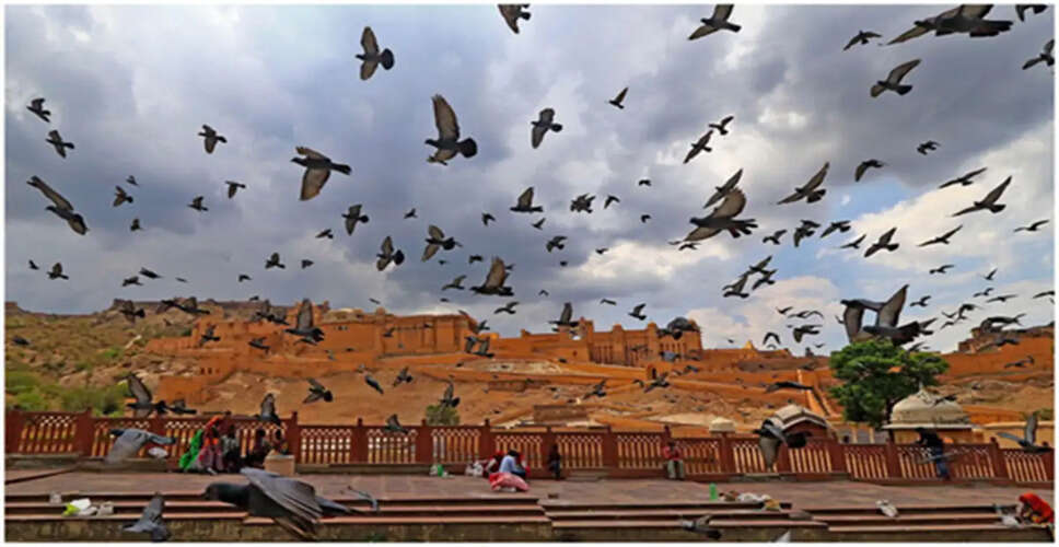 Explore Jaipur on a Budget: A Complete Guide Under ₹5000