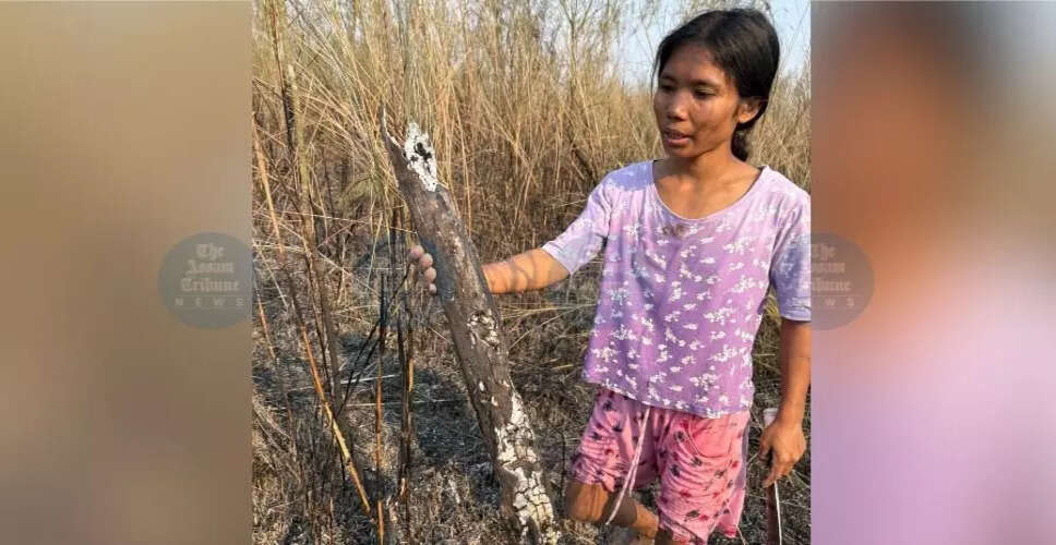 Devastating Fire Destroys Community Forest in Jorhat