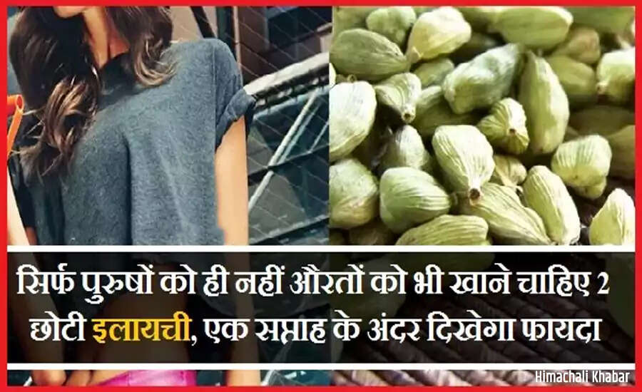 The Incredible Benefits of Cardamom for Health