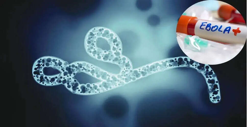 Rising Concerns Over Bundibugyo Ebola Virus Outbreak in Congo