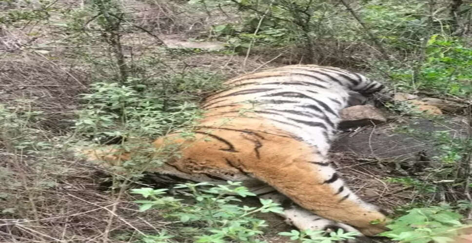 Another tigress death reported in Karnataka