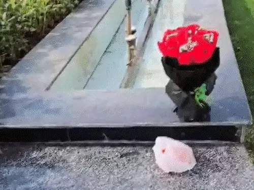 Security Breach at Delhi Assembly Raises Alarms