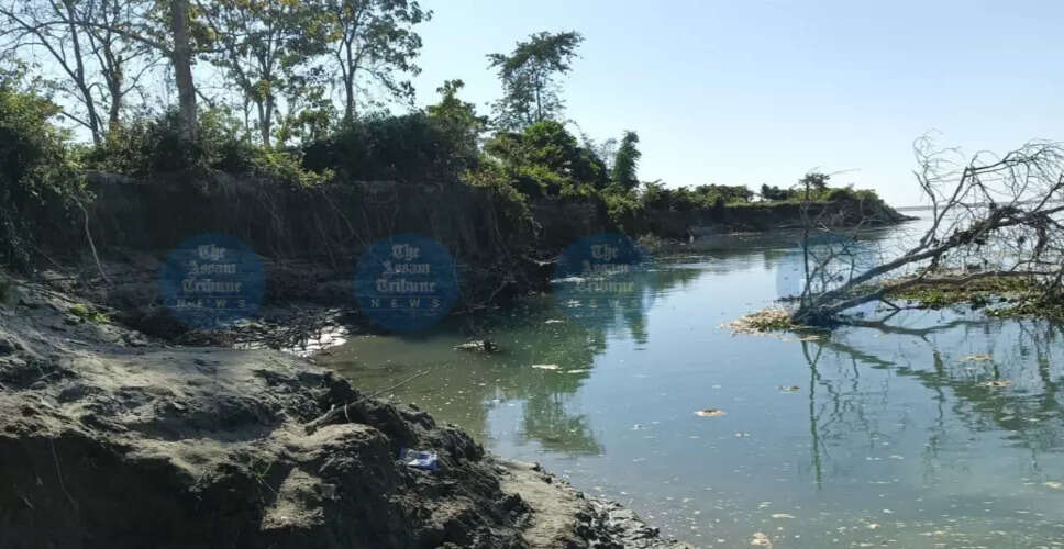 Urgent Call for Erosion Control Measures Near Tinsukia's Eco Tourist Camp