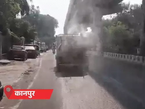 Intense Heatwave Grips Uttar Pradesh: Animals and Residents Struggle
