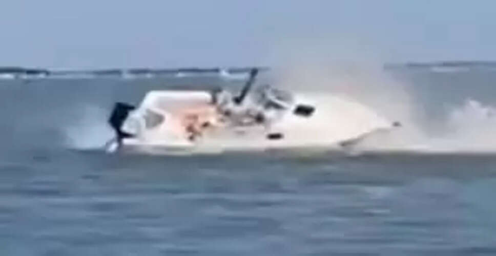 Tragic Collision: Boat Hits Whale Off New Jersey Shore, Passenger Thrown Overboard