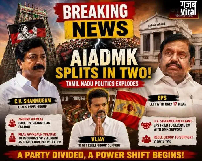 Political Turmoil in Tamil Nadu: AIADMK Faces Internal Split