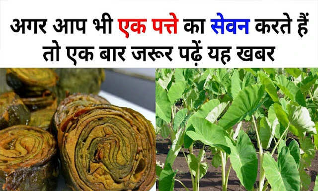 Health Benefits of Taro Leaves You Should Know