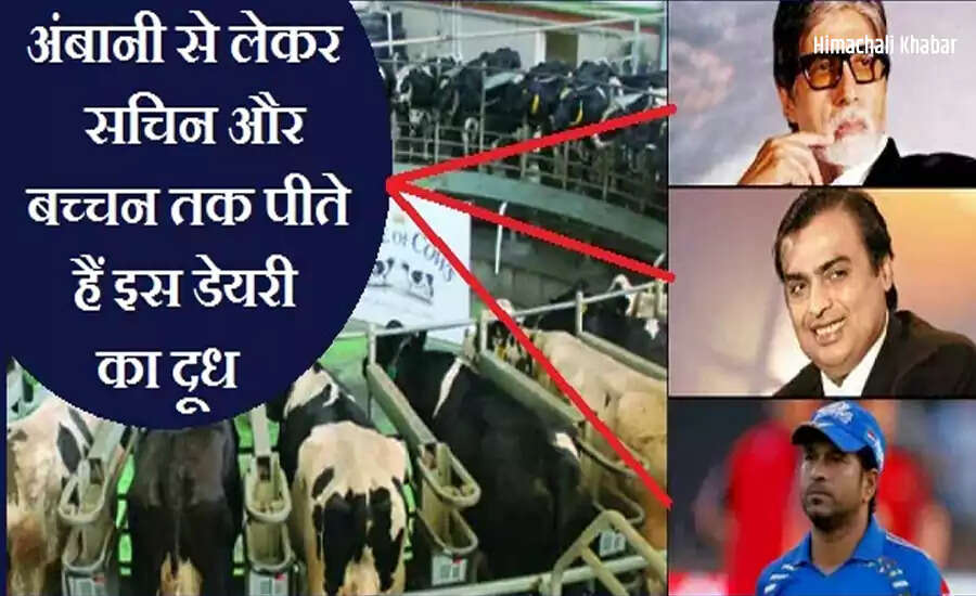 Inside India's Premier Dairy: The Secrets Behind Premium Milk Supply