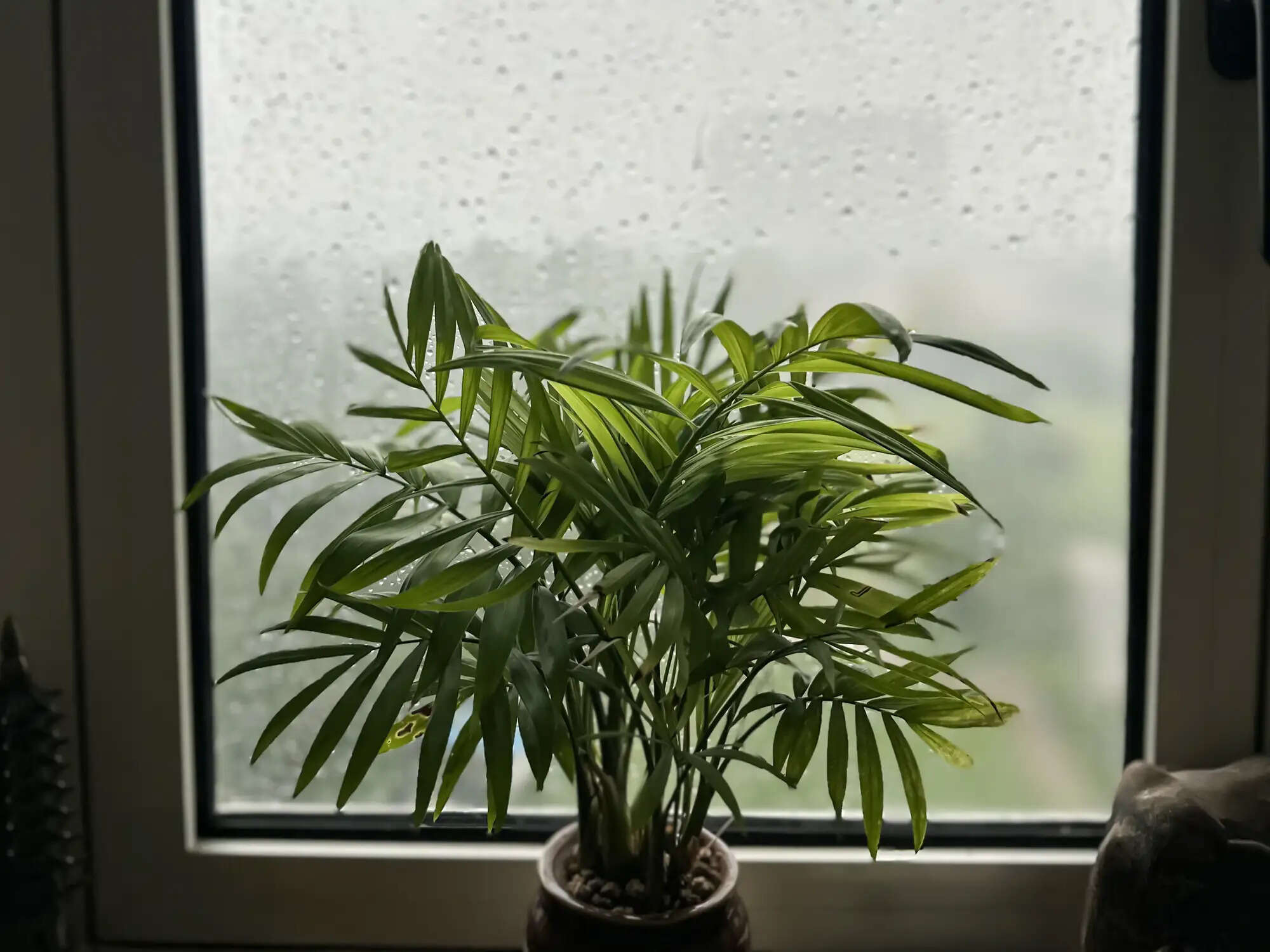 Transform Your Home into a Cozy Retreat This Monsoon