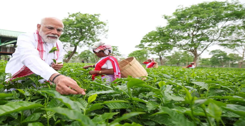 Prime Minister Modi Highlights Assam's Tea Industry During Campaign Visit