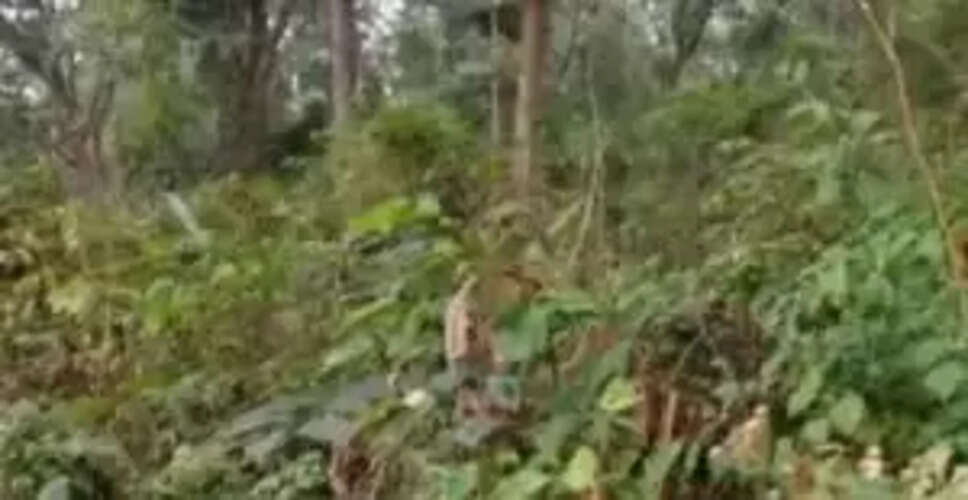 Maoist Attacks Rock Odisha-Jharkhand Border: Explosions and Casualties Reported