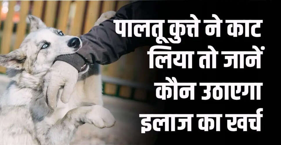 पालतू कुत्ते द्वारा काटने पर कानूनी जिम्मेदारियाँ और नियम