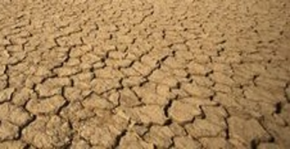 Zimbabwe declares national disaster due to drought