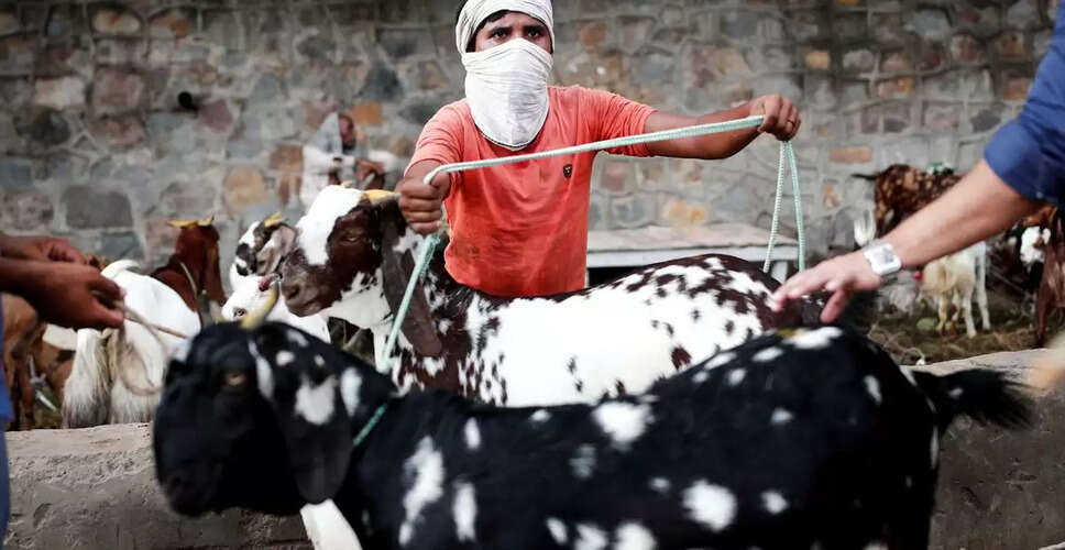 Uttar Pradesh Bans Animal Sacrifice in Public Spaces for Bakri Eid
