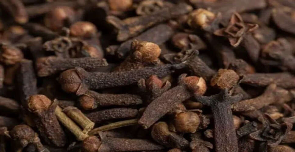 The Incredible Health Benefits of Chewing Cloves Daily