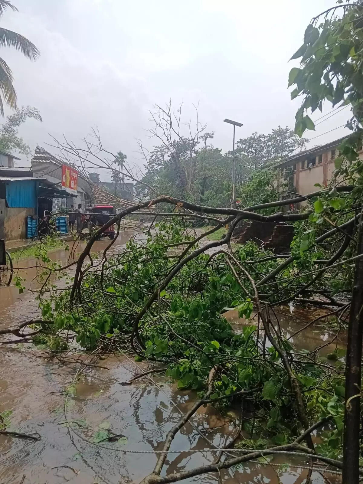 Severe Weather Hits Southern Assam Following Earthquake