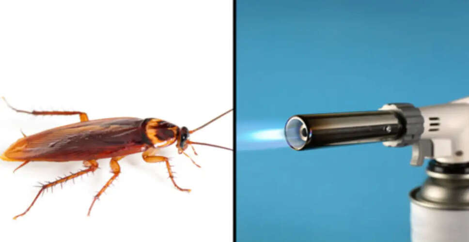 Tragic Incident in South Korea: Woman's Attempt to Kill Cockroach Leads to Fatal Fire