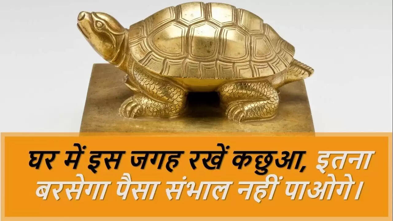 वास्तु के अनुसार कछुए की मूर्ति लगाने के सही तरीके