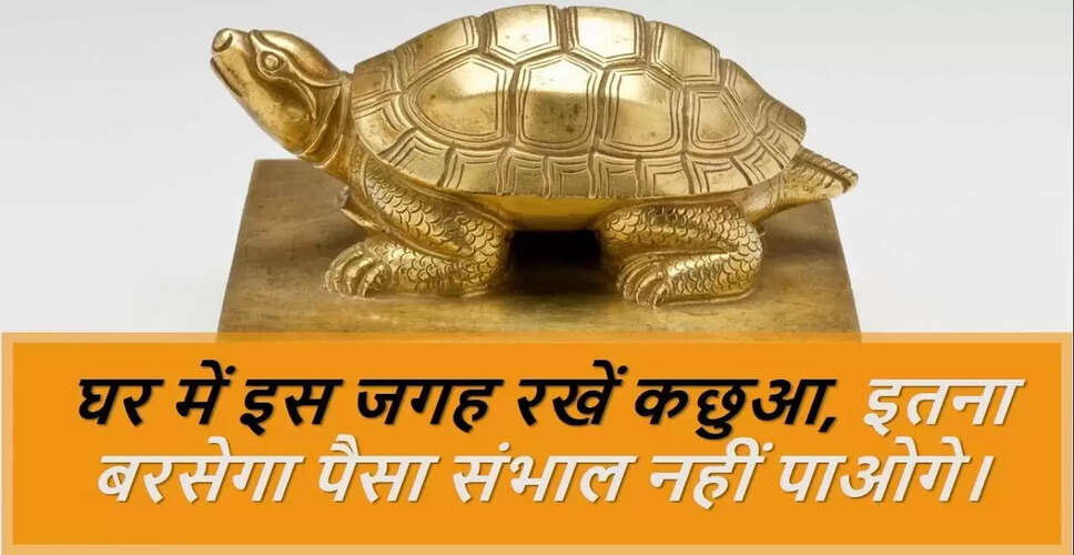 वास्तु के अनुसार कछुए की मूर्ति लगाने के सही तरीके