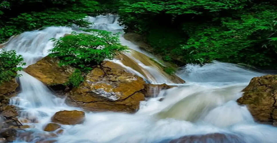 Discover the Enchanting Tiger Fall: A Hidden Gem Near Dehradun