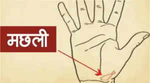 हाथ की रेखाओं के शुभ चिन्ह: जानें आपके भाग्य के बारे में