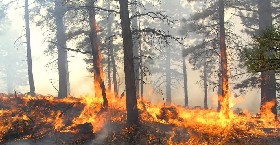 Wildfire in Miami-Dade County Causes Air Quality Concerns and Traffic Disruptions