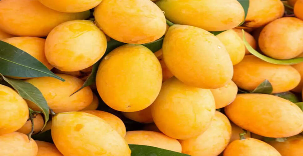 Unlocking the Hidden Benefits of Mango Peels: Culinary and Beauty Uses