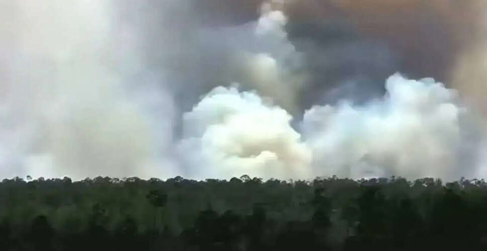 Florida Firefighters Combat Major Brush Fire in Picayune Strand State Forest