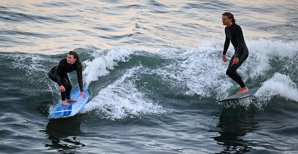 Suspension of New Zealand Surfing Event After Photographer's Sea Lion Bite