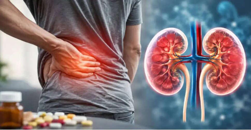 Understanding the Risks of Painkillers on Kidney Health