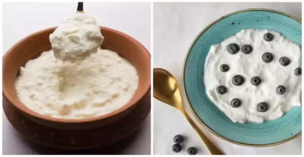 Comparing Indian Yogurt and Greek Yogurt: Which is Healthier?