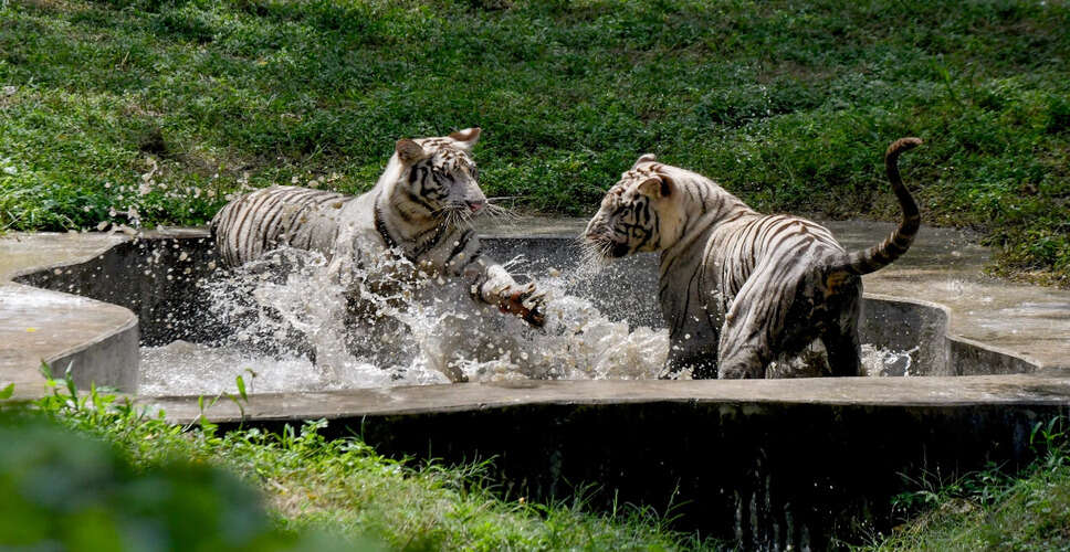 Delhi Zoo to Sign MoU with Reliance's GZRRC for Knowledge Sharing