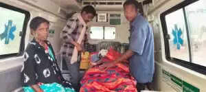 Bear Attack Leaves Youth Injured in Koraput District: Community Rallies for Help