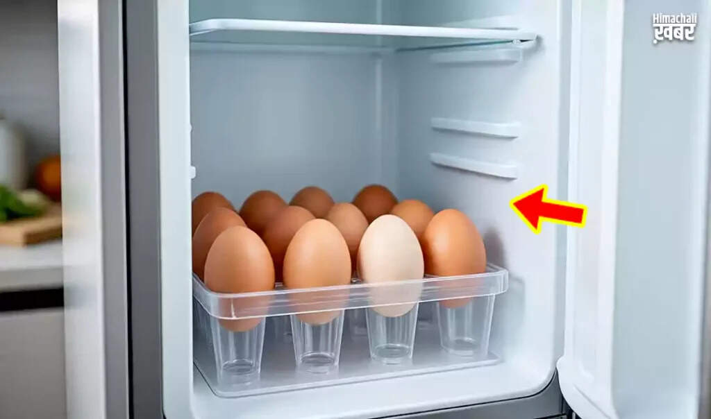 Essential Tips for Storing Eggs to Ensure Freshness