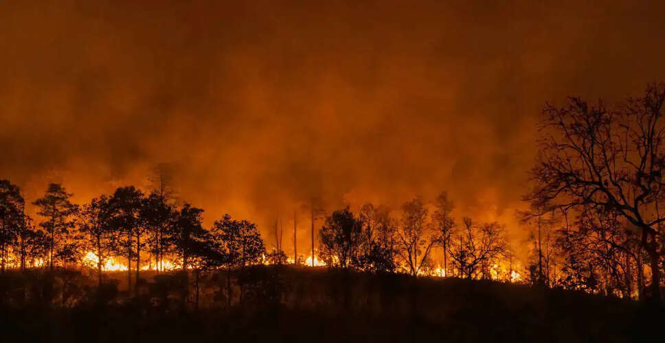 Significant Wildfire Near Hawthorne: Updates and Safety Measures