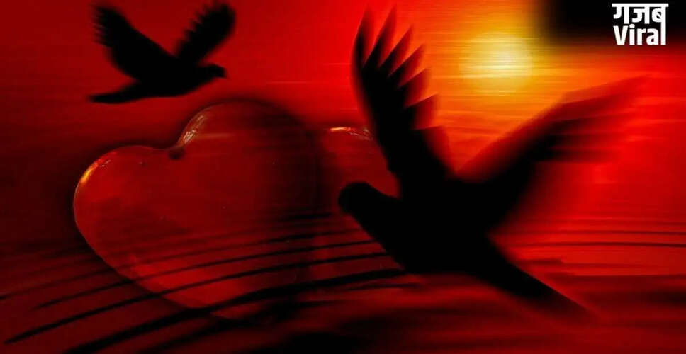Daily Love Horoscope for May 11, 2026: Romantic Insights for All Zodiac Signs