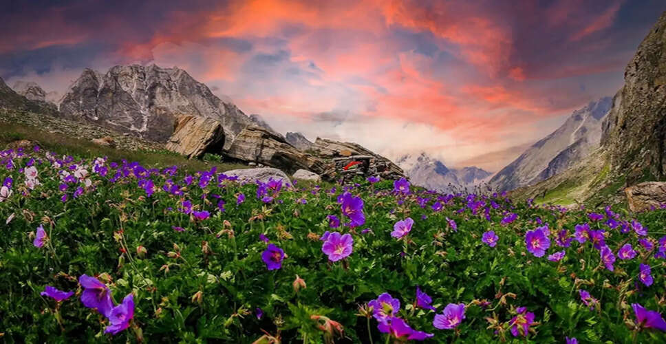 Your Ultimate Guide to Visiting the Valley of Flowers from Delhi