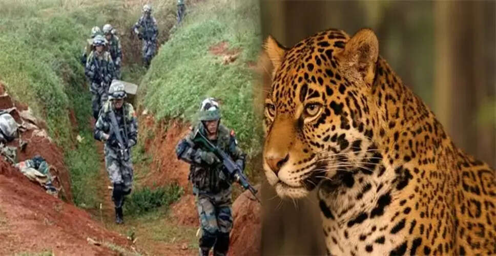 Insights from the Surgical Strike: A Unique Strategy Revealed