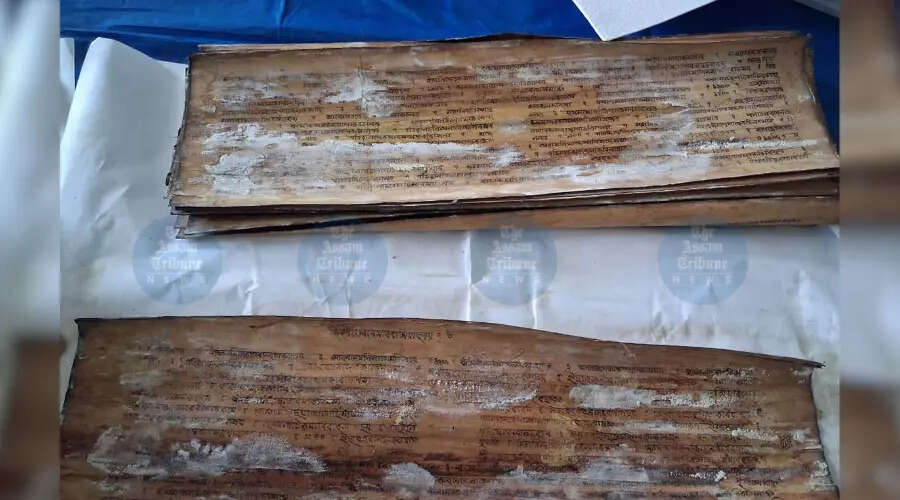 Efforts Underway to Preserve Assam's Flood-Damaged Manuscripts