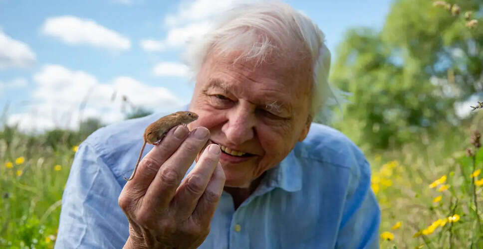 Celebrating Sir David Attenborough's 100th Birthday: A Tribute to Nature