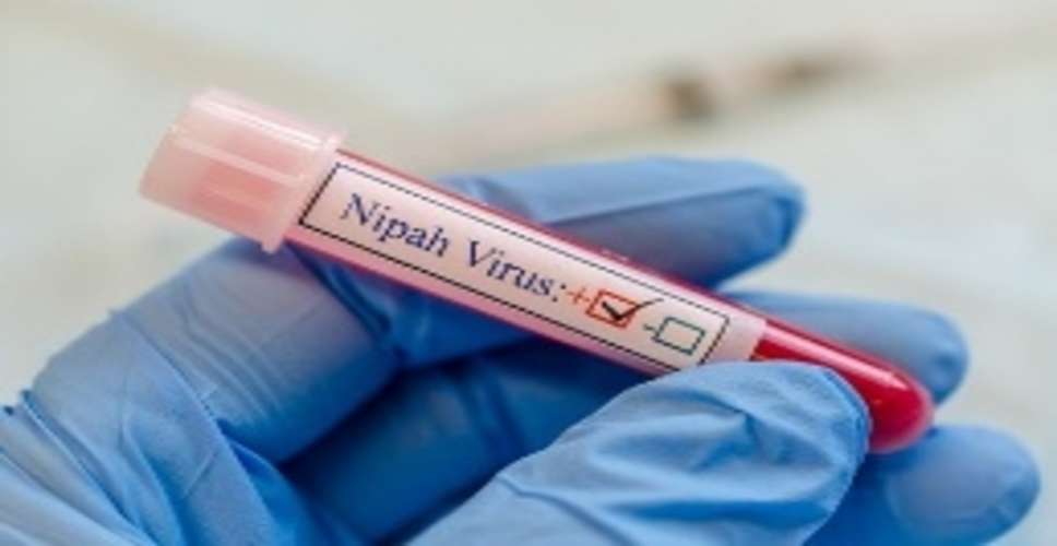 No Nipah case reported for third day in Kozhikode