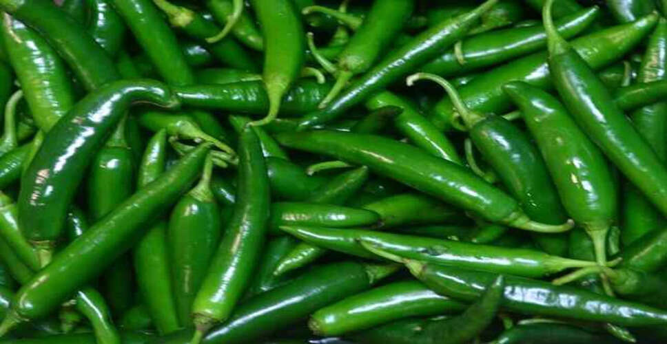 Health Benefits of Green Chilies You Should Know