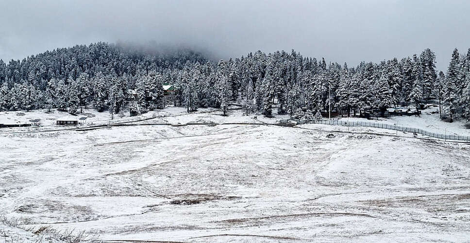 Snowfall Marks the Start of 'Chillai Kalan' in Kashmir Valley