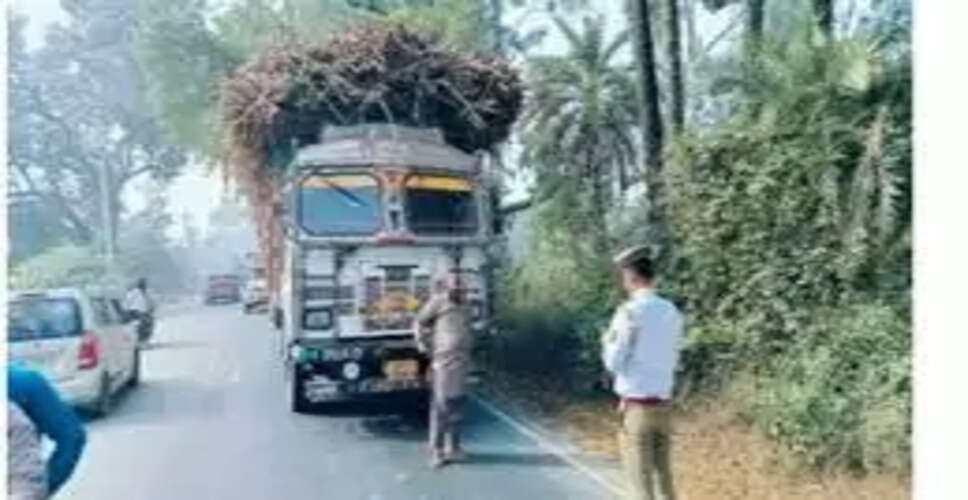 Wild Boar Smuggling Attempt Foiled at Bagru Toll in Jaipur