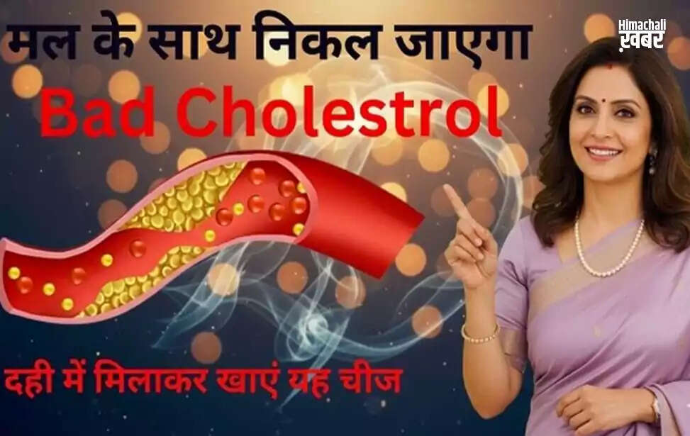 Effective Ways to Manage Cholesterol for a Healthy Heart