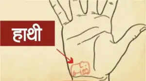 हाथ की रेखाओं के शुभ चिन्ह: जानें आपके भाग्य के बारे में